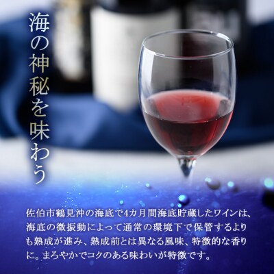 海底貯蔵ワイン赤MARIREINEオーベルマチュパルーザシラーヴィオニエ2021(750ml・1本)