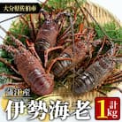 大分県産 伊勢海老 (計1kg・約2～5尾)