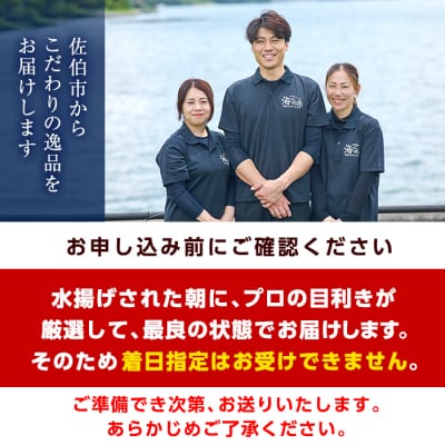 大分県産 伊勢海老 (計1kg)