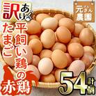 ＜訳あり・規格外＞ 平飼い赤鶏のたまご (計54個)
