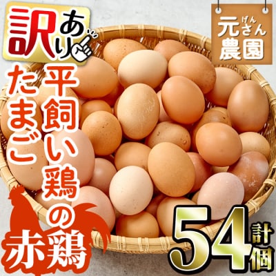 ＜訳あり・規格外＞ 平飼い赤鶏のたまご (計54個)