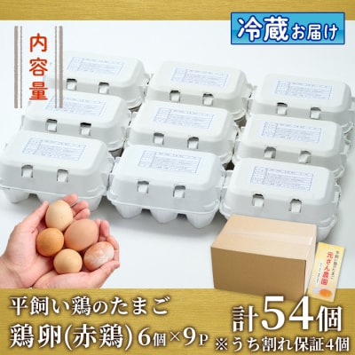 ＜訳あり・規格外＞ 平飼い赤鶏のたまご (計54個)