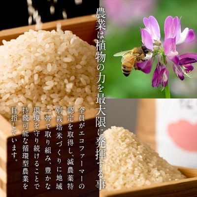 R7年産・新米・はなご縁 (計10kg・5kg×2袋)