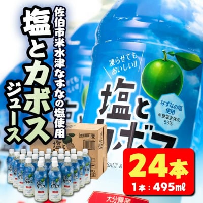 塩とカボス (495ml×24本)