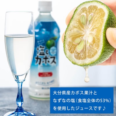 塩とカボス (495ml×24本)