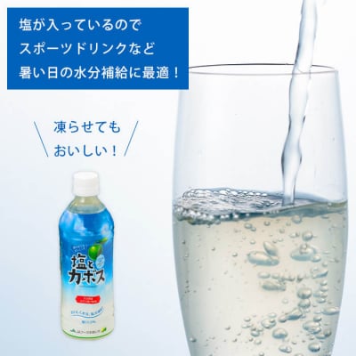 塩とカボス (495ml×24本)