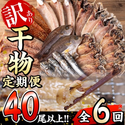 <定期便・全6回 (隔月)>訳あり 干物大満足BOX (40尾以上)
