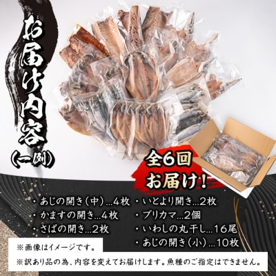<定期便・全6回 (隔月)>訳あり 干物大満足BOX (40尾以上)