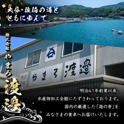 <定期便・全6回 (隔月)>訳あり 干物大満足BOX (40尾以上)