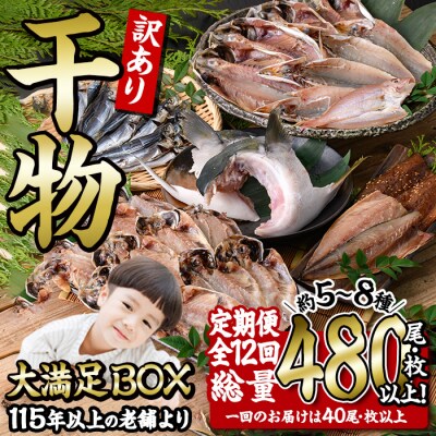 <定期便・全12回 (毎月)>訳あり 干物大満足BOX (480尾以上)
