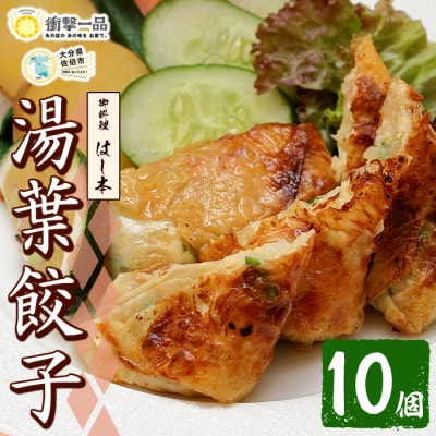 衝撃一品!御料理はし本 湯葉餃子 (計10個) 