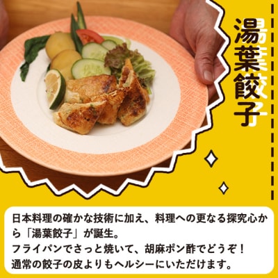 衝撃一品!御料理はし本 湯葉餃子 (計10個) 
