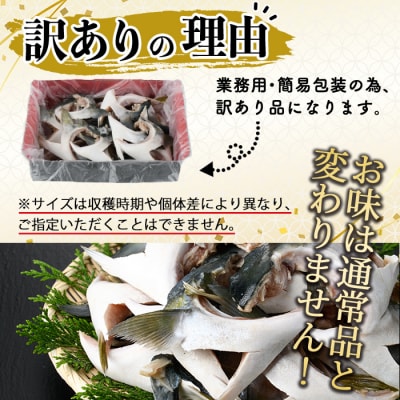 <訳あり>無塩ブリカマ(約3kg)