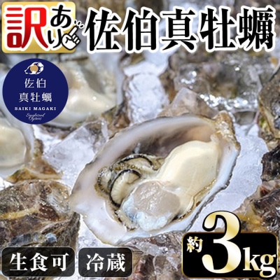 <訳あり>佐伯真牡蠣 鶴見産(約3kg) 【EW068】【(株)Up】