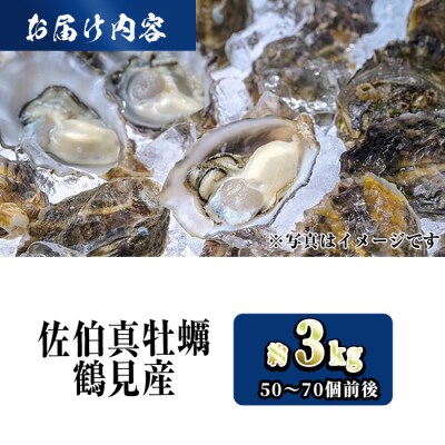 <訳あり>佐伯真牡蠣 鶴見産(約3kg) 【EW068】【(株)Up】