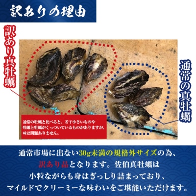 <訳あり>佐伯真牡蠣 鶴見産(約3kg) 【EW068】【(株)Up】