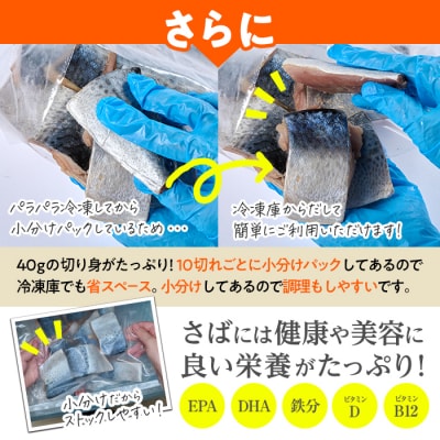訳あり・鯖 切り身(総計約2.4kg・60切)