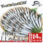 【定期便・全4回】3ヵ月に1回お届け!子持ち樺太ししゃも丸干し