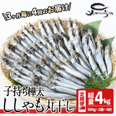 【定期便・全4回】3ヵ月に1回お届け!子持ち樺太ししゃも丸干し