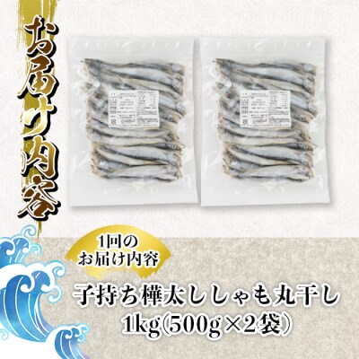 【定期便・全4回】3ヵ月に1回お届け!子持ち樺太ししゃも丸干し