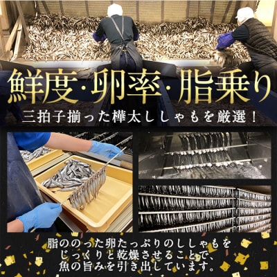 【定期便・全4回】3ヵ月に1回お届け!子持ち樺太ししゃも丸干し