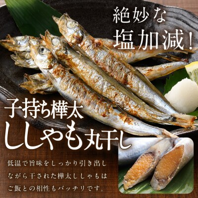 【定期便・全4回】3ヵ月に1回お届け!子持ち樺太ししゃも丸干し