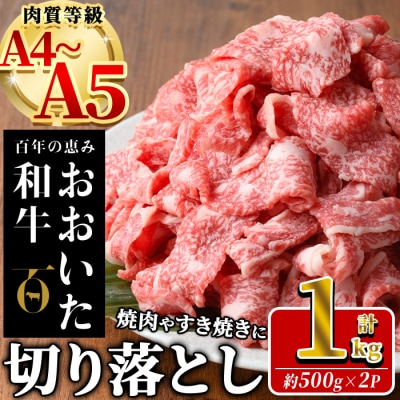 おおいた和牛 切り落とし (計1kg ・500g×2P)