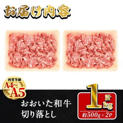 おおいた和牛 切り落とし (計1kg ・500g×2P)