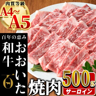 おおいた和牛 サーロイン 焼肉 (計500g)