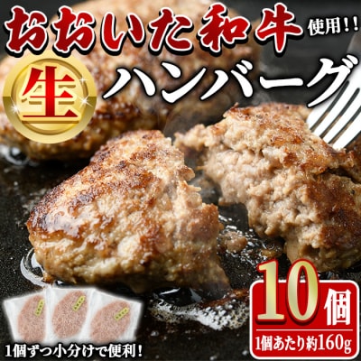 おおいた和牛 生 ハンバーグ (計1.6kg・160g×10個)