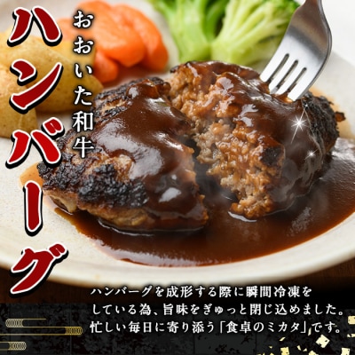 おおいた和牛 生 ハンバーグ (計1.6kg・160g×10個)