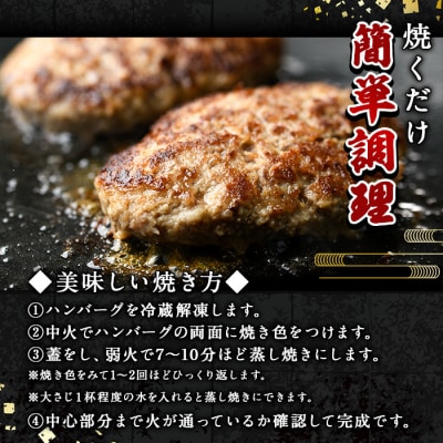 おおいた和牛 生 ハンバーグ (計1.6kg・160g×10個)