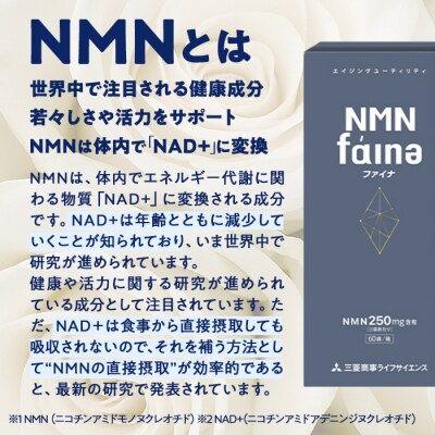 完全国内生産のNMNサプリメント「NMNファイナ」計1080粒(計180粒×6回毎月)