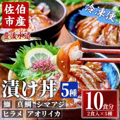 漬け丼 5種セット (計10食分・2食入×5種)