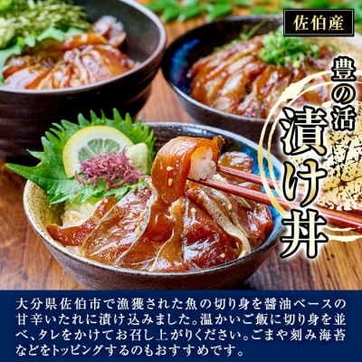 漬け丼 5種セット (計10食分・2食入×5種)