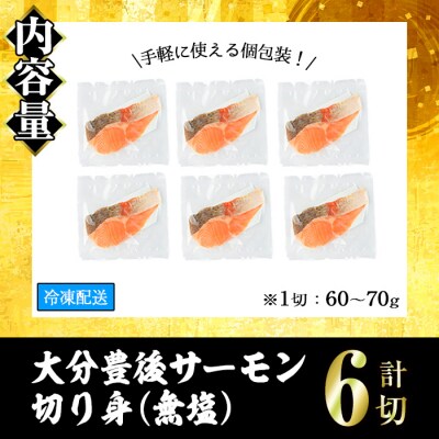 大分豊後サーモン 切り身(計6切)