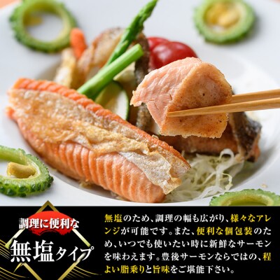 大分豊後サーモン 切り身(計6切)