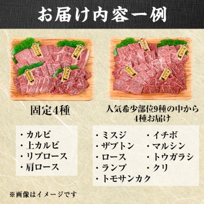 <訳あり>おおいた和牛 希少部位 焼肉 セット (8種・合計800g) 