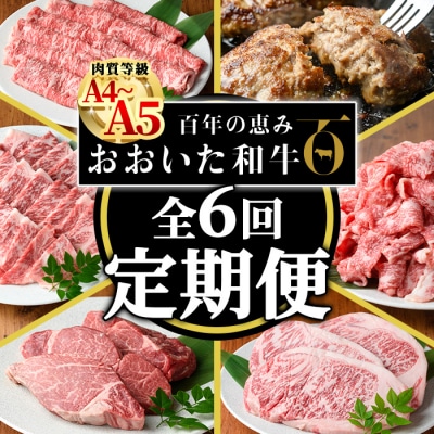 <定期便・全6回(連続)>おおいた和牛 定期便 (総量4.33kg)