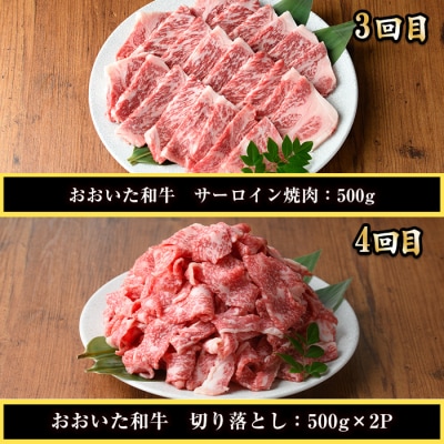 <定期便・全6回(連続)>おおいた和牛 定期便 (総量4.33kg)