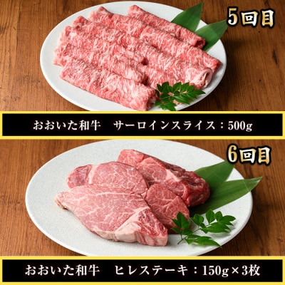 <定期便・全6回(連続)>おおいた和牛 定期便 (総量4.33kg)