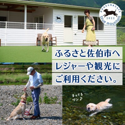 ドッグラン利用券(ランチ・スイーツ・お土産付き)(1頭1回分)