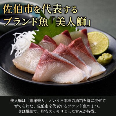 大分県産 美人鰤 刺身セット