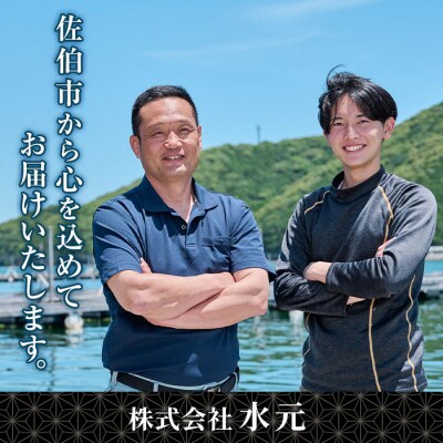大分県産 美人鰤 刺身セット