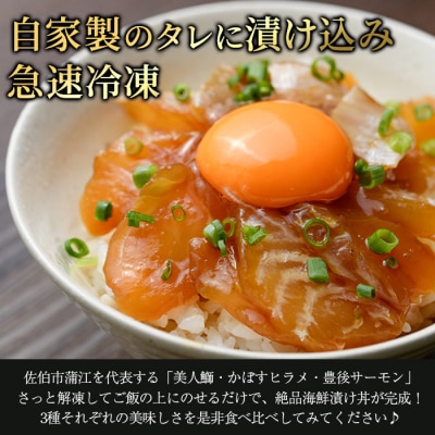 海鮮漬け丼の素 (計10食)
