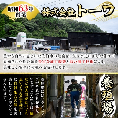 <瞬間凍結>生簀直送 とらふぐ 刺身 セット (4-5人前)