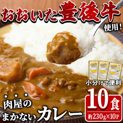 肉屋のまかない 豊後牛 カレー (計2.3kg・230g×10P)