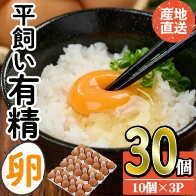 産直・平飼い有精卵 (計30個)