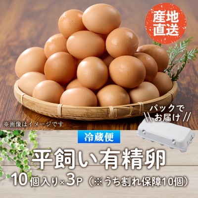 産直・平飼い有精卵 (計30個)
