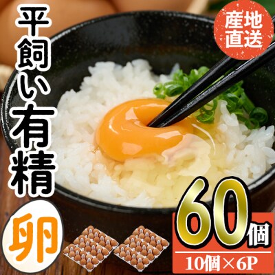 産直・平飼い有精卵 (計60個)